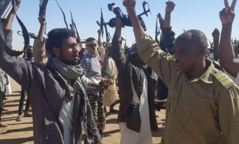Members of Sudan's Popular Resistance take part in a training session in Shendi, River Nile state, Sudan, in this undated file photo.