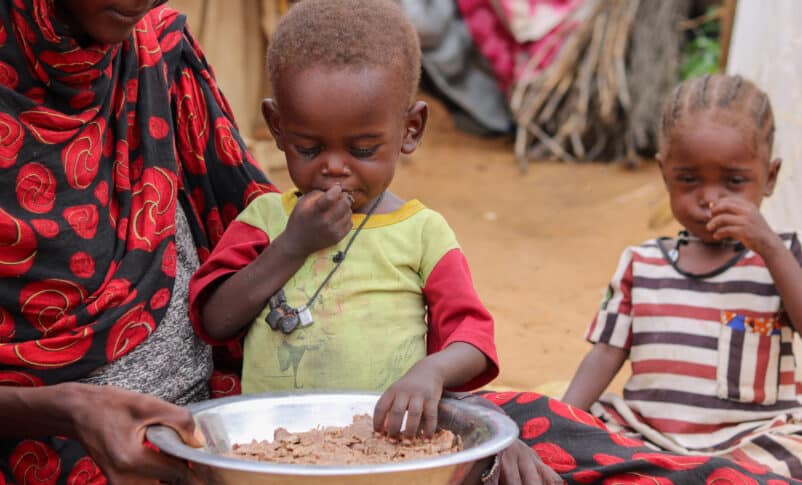 El Fasher's children find only animal fodder to eat, UNICEF photo shows