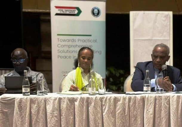 Leaders of the Advocacy Group for Peace in Sudan (AGPS) are seen during a virtual press conference on Sunday, Aug. 31, 2025.