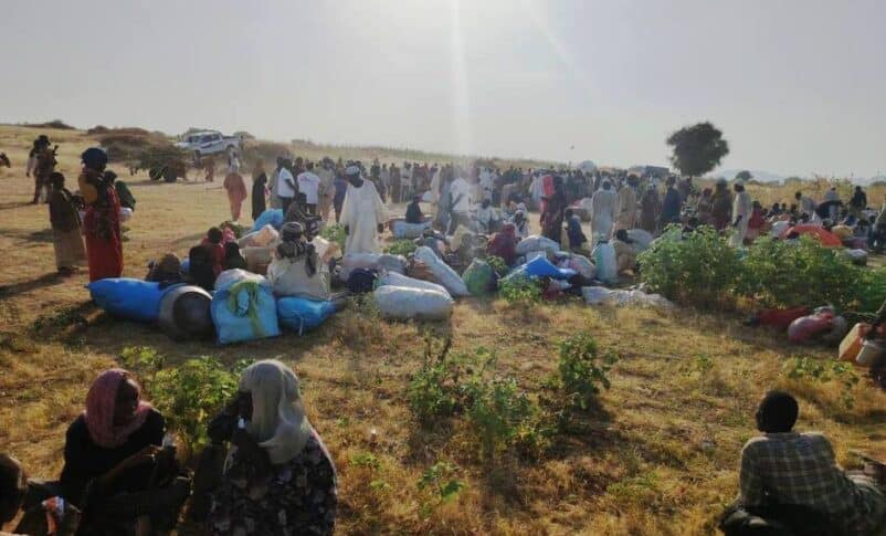 Hundreds of displaced fleeing El Fasher arrived in Tawila on Oct 19, 2025