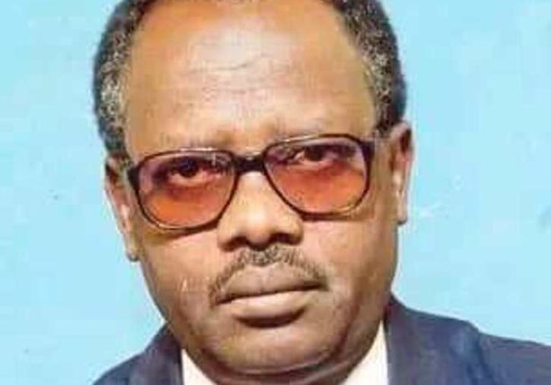 Taj al-Sir Mohamed Suleiman, Bureau Chief of the Sudan News Agency (SUNA) in El Fasher