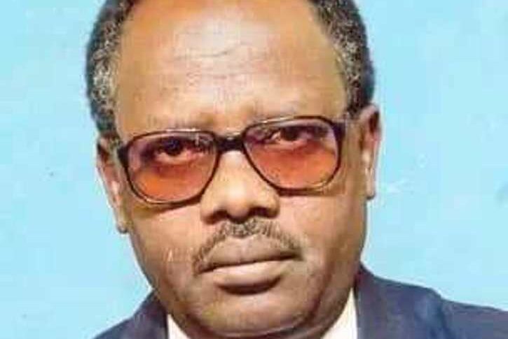 Taj al-Sir Mohamed Suleiman, Bureau Chief of the Sudan News Agency (SUNA) in El Fasher