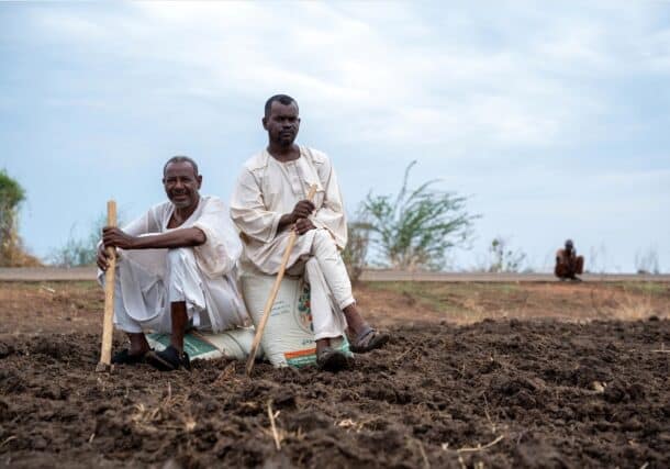 Farmers in Al Jazirah may have lost everything, but they never lost their love for the land. FAO photo