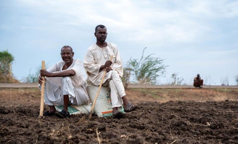 Farmers in Al Jazirah may have lost everything, but they never lost their love for the land. FAO photo