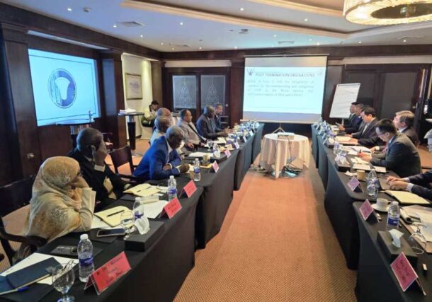 Sudanese and Chinese officials discuss the delivery of hydroelectric generation transformers in Cairo, Egypt, January 19, 2026.