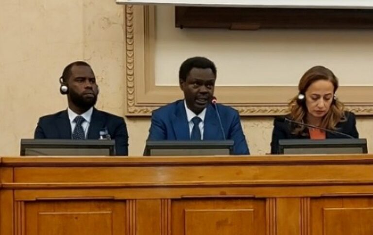 Minawi speaks at the French parliament on Feb 10, 2026