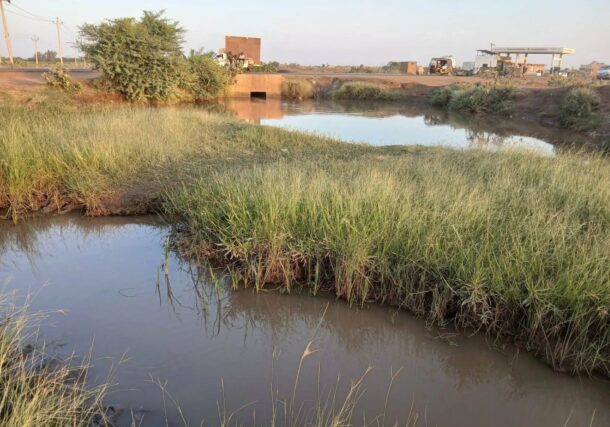 Weeds fill irrigation canals, hindering the flow of water to farms, Asharq Al-Awsat photo