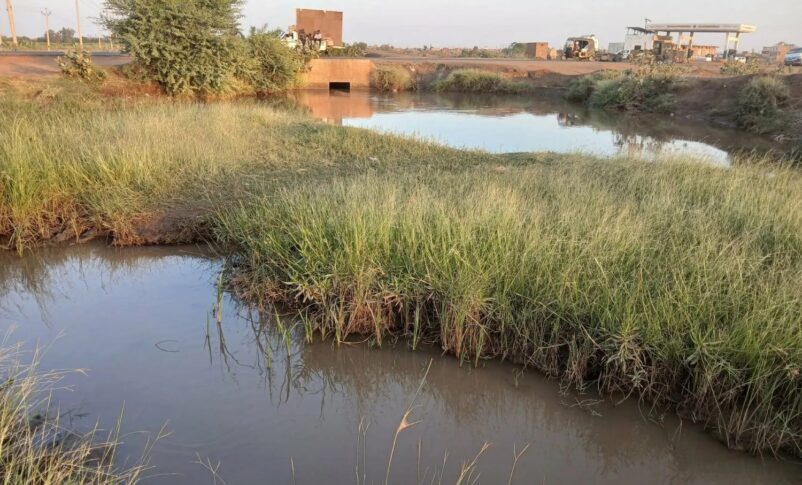 Weeds fill irrigation canals, hindering the flow of water to farms, Asharq Al-Awsat photo
