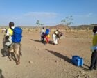 Aid workers use donkeys to transport vaccins to IDP camp in Jebel Marra, Central Darfur on April 22, 2026