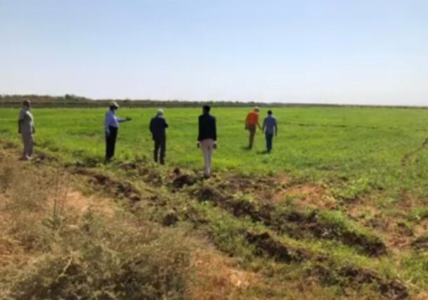 Al Jazirah agricultural scheme was largely impacted by the RSF control of the central Sudan area in December 2023