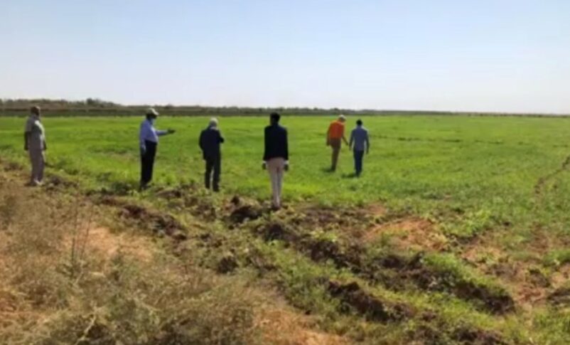 Al Jazirah agricultural scheme was largely impacted by the RSF control of the central Sudan area in December 2023