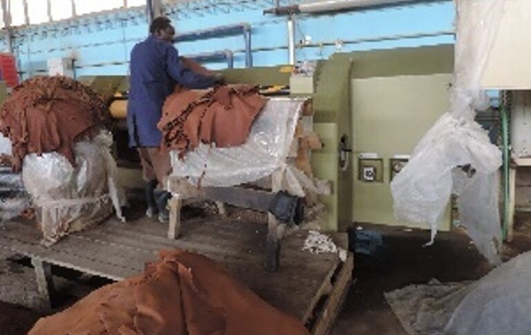 One of three government tanneries in Khartoum, Horn Observer file photo
