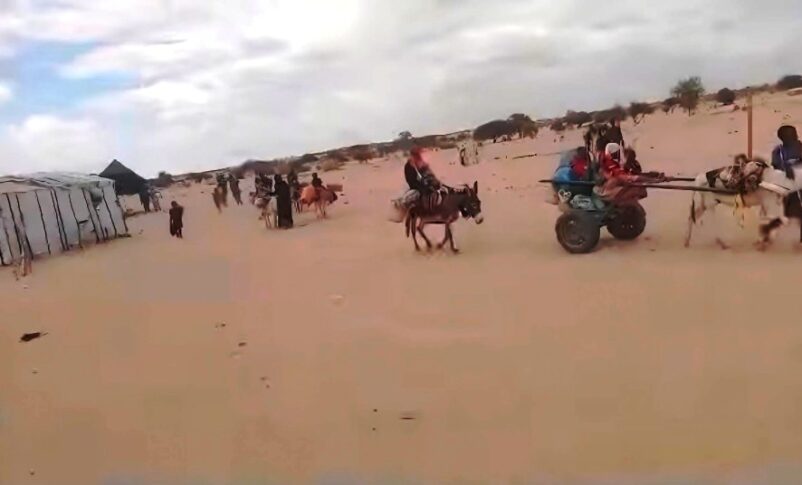 Civilians flee Orshay villge to Chad following RSF attack on their villages in North Darfur near the border on July 5, 2026