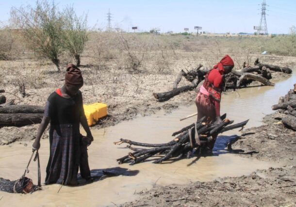Sudanese women collect firewood from what remains of the Sunt Forest, an urban forest mainly made of Acacia trees, in the capital Khartoum on February 7, 2026.