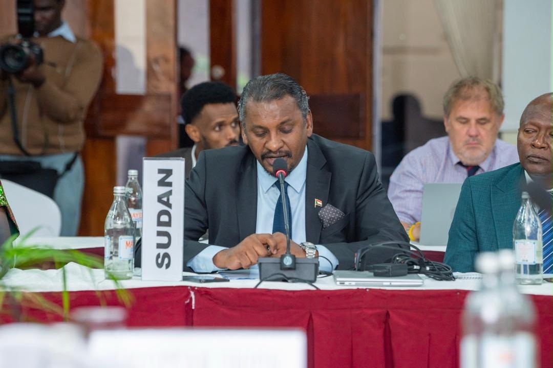 Sudan: Formally Joins Horn of Africa Border Development Roadmap Committee