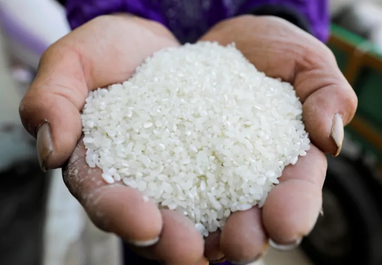 Sudan Lifts Import Ban on 44 Goods: Cabinet Decision 95