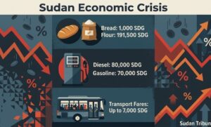Infographic on the soaring costs of bread, flour, fuel, and transportation in Sudan