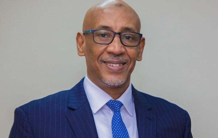 Mohamed Elmunir Ahmed Safieldin Phd